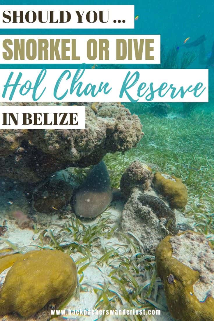 No doubt Hol Chan Marine Reserve is one of the best places in the world to experience life under the water. Though what is the best way to explore this place? Well, that is what I am here to let you know should you snorkel or dive Hol Chan Marine Reserve, and everything else you need to know!
