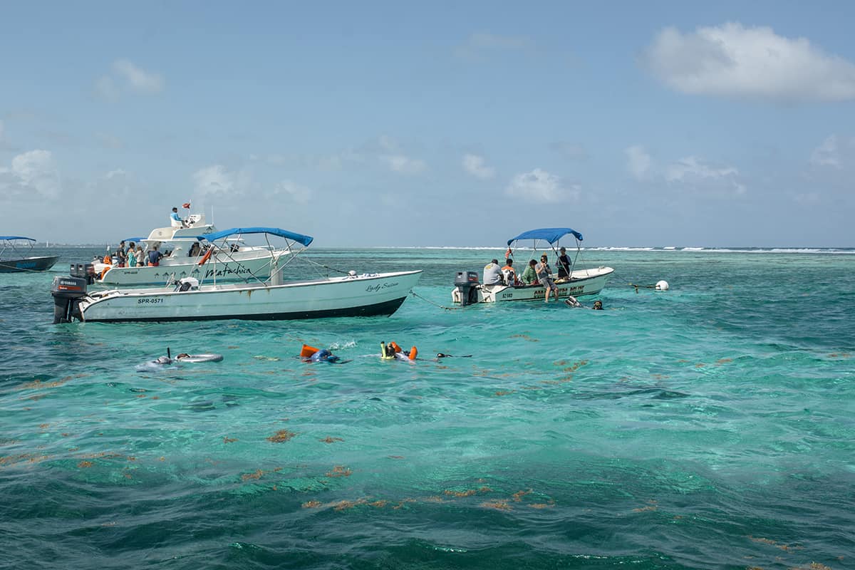 jumping into the sandy areas before venturing out into the reef at hol chan marine park