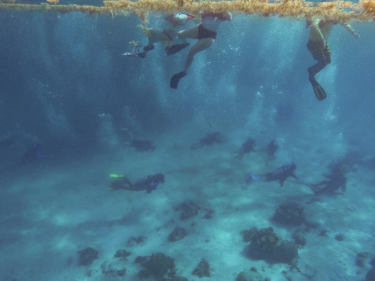 snorkelers at the surface with divers underneath in one of the deeper parts of hol chan