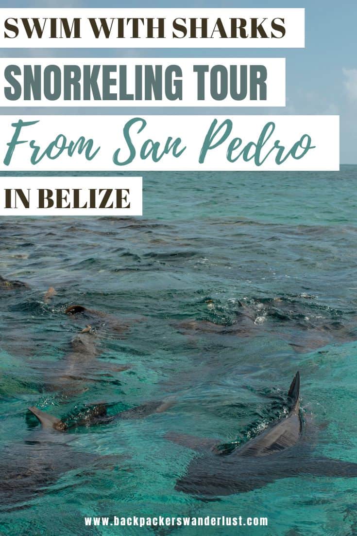 One of my favorite snorkeling spots can be found right in Belize, so of course checking out snorkeling tours from San Pedro is a must! Though what ones are the best, where do you go, how expensive is it? Well don't worry, I will answer all of that and more!