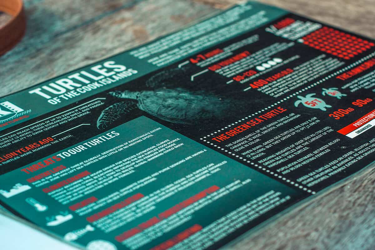 arriving at ariki adventures on our turtle sea scooter safari