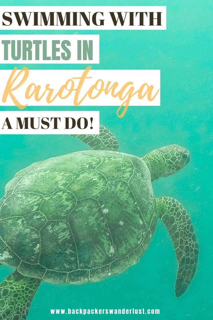 Find out all you need to know about swimming with turtles in Rarotonga on the Ariki Adventures turtle safari tour. I will be giving you all the information you need to know such as how to book, costs and what to expect.
