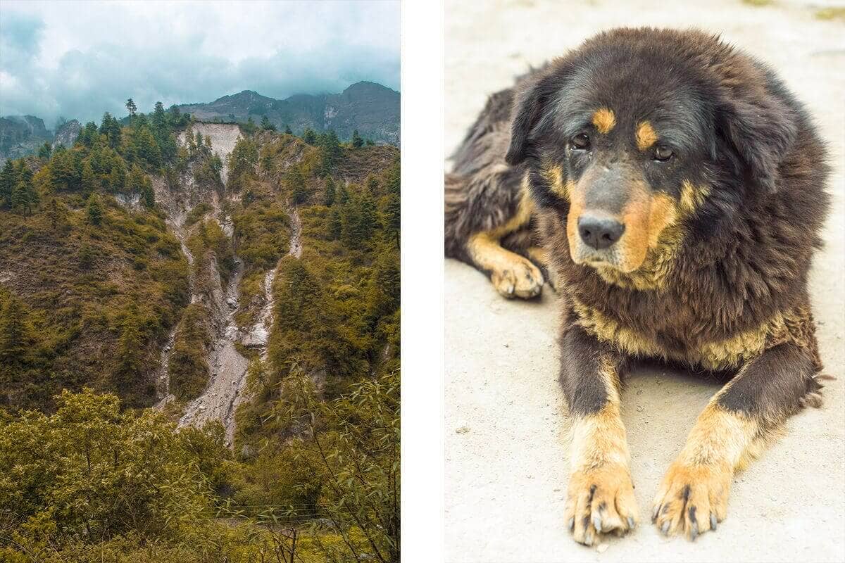 Day 3: Tal To Timang On The Annapurna Circuit 2 landslide tal to dharapani on the annapurna circuit
