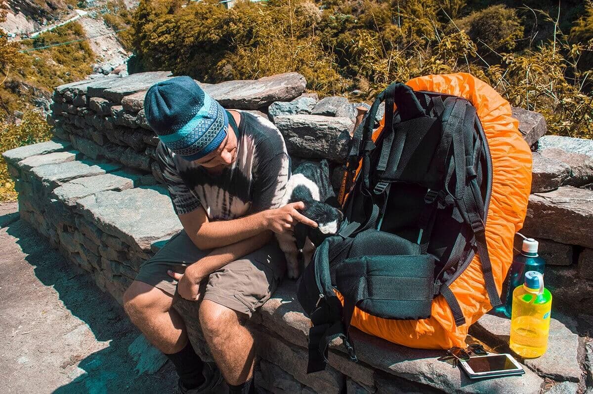 Day 3: Tal To Timang On The Annapurna Circuit 1 goat cuddles tal to timang on the annapurna circuit