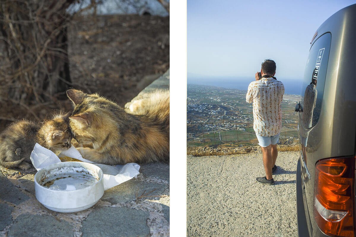 monastery cats santorini sightseeing
