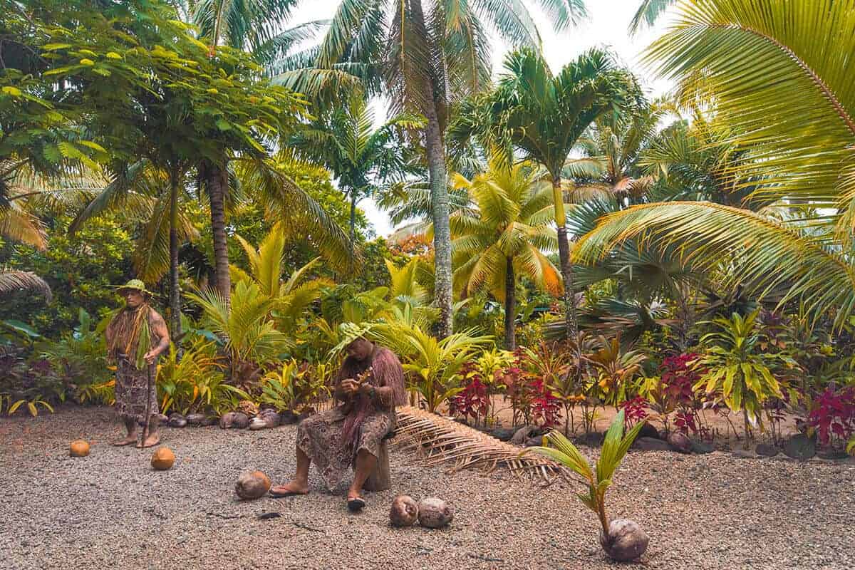 musical performance at te vara nui before our oevrwater cultural show starts