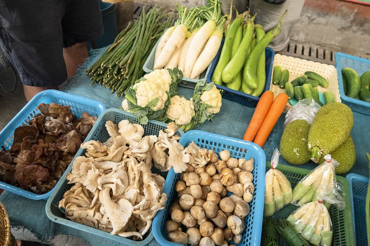 shopping in the markets with different mushrooms and vegetables in chiang mai