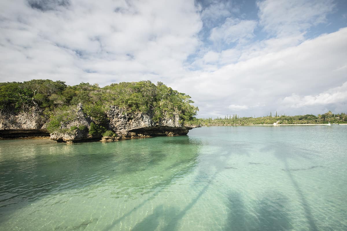 palm tree shadows in the ocean looking out to the sacred rock