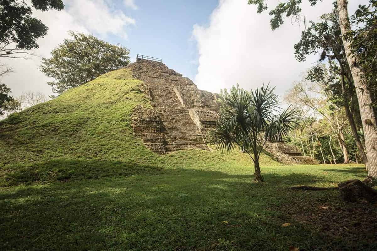 nature taking over one of the temples in the lost world