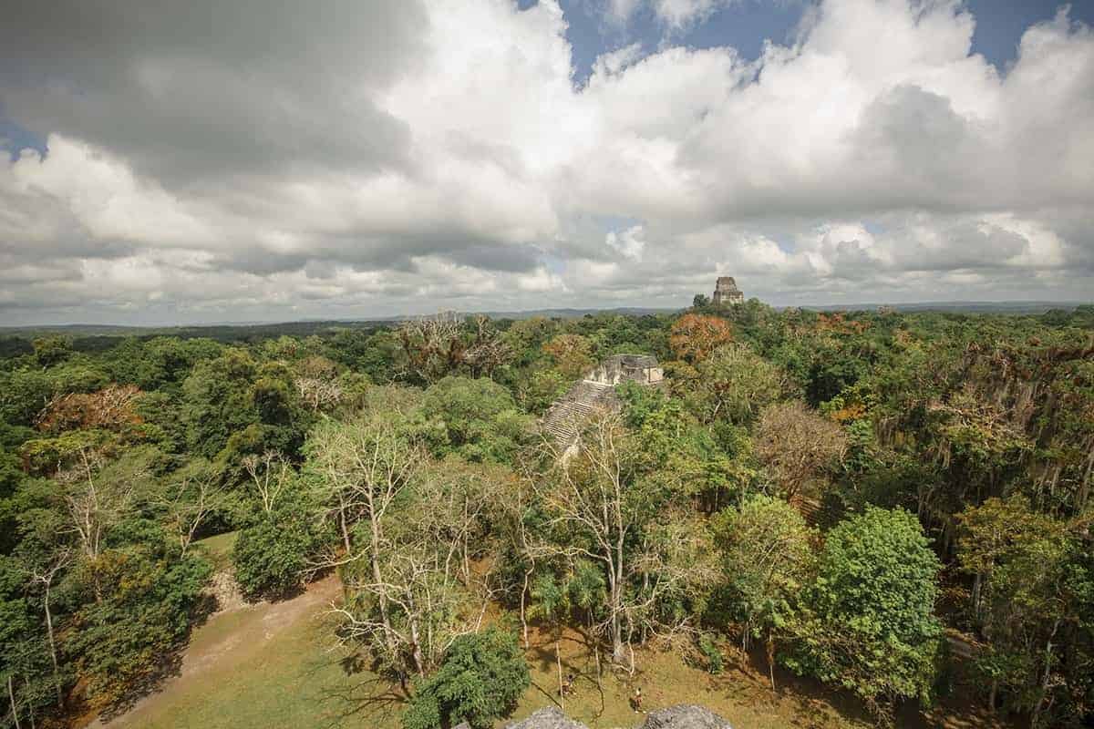 view from on top of the great temple on our tikal tour from flores
