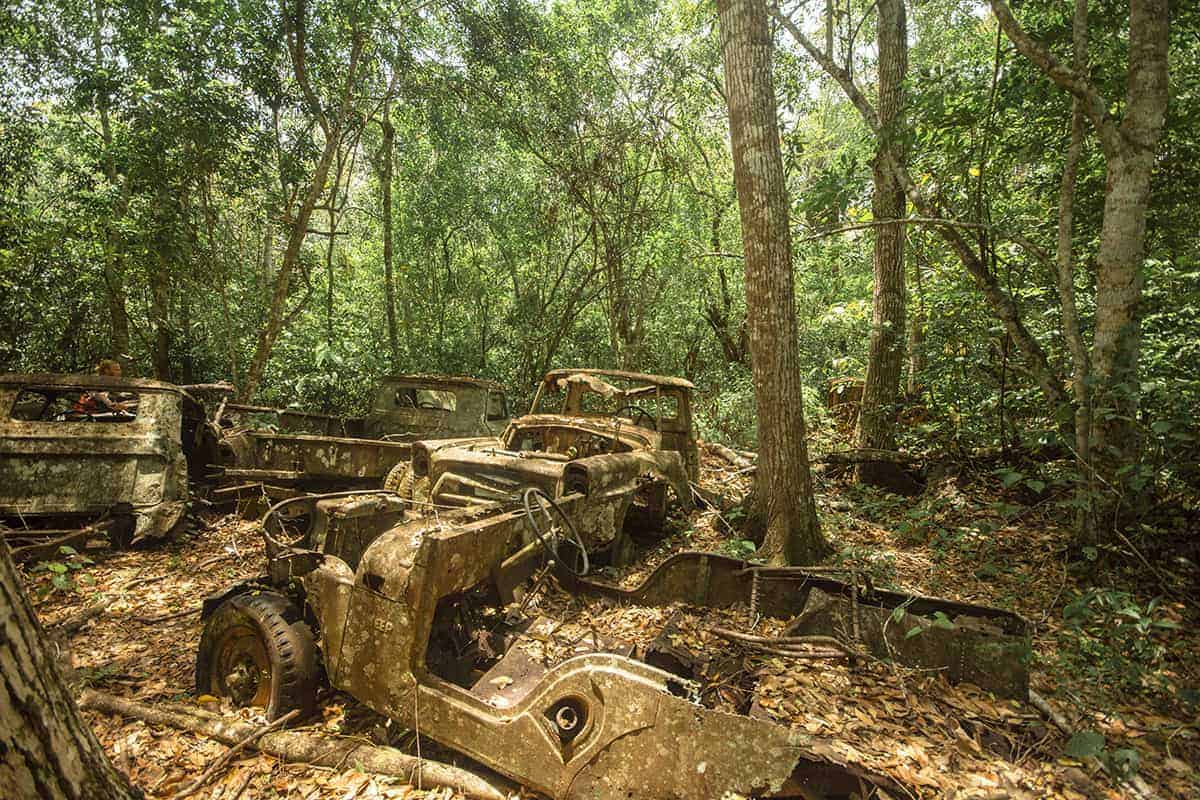 abandoned cars in the jungle outside of tikal