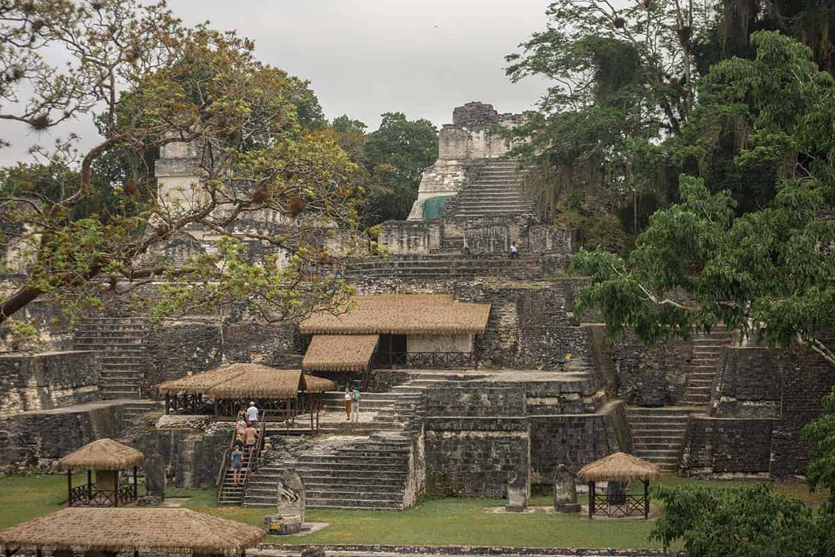 looking over to the full view of the acropolis del norte from the acropolis central in tikal
