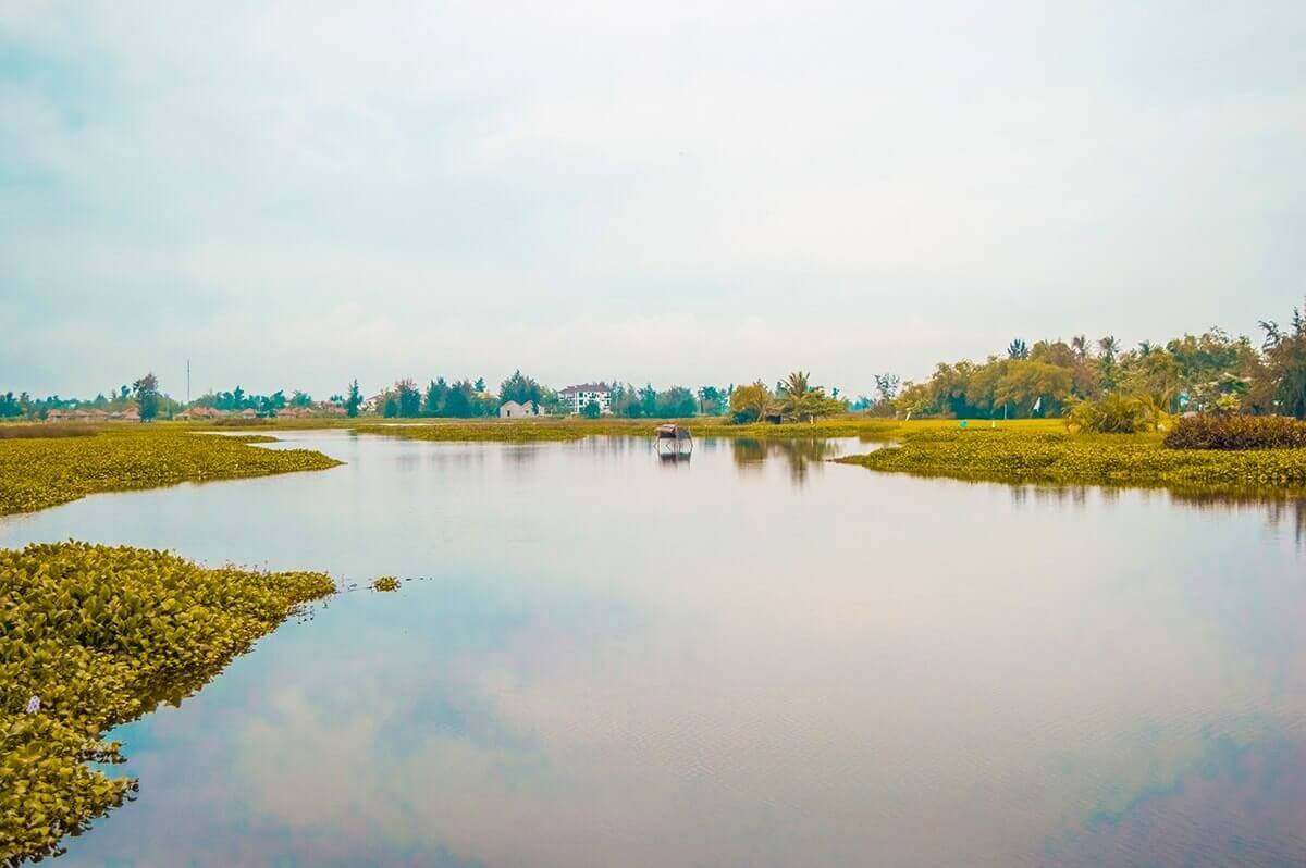 algae lake at for tra que vegetable village hoi an vietnam