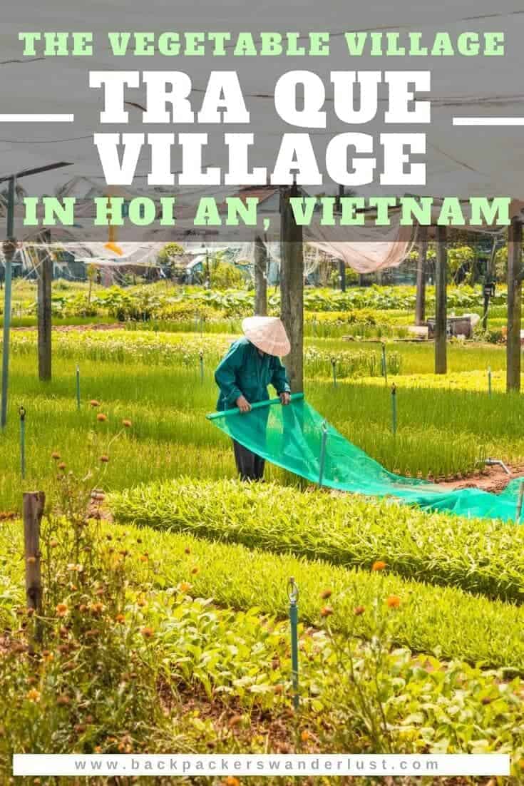 Find out about visiting Tra Que Vegetable Village located in Hoi An, Vietnam. Learn about how to get there, what it actually is, my experience and more in this Tra Que Village guide!