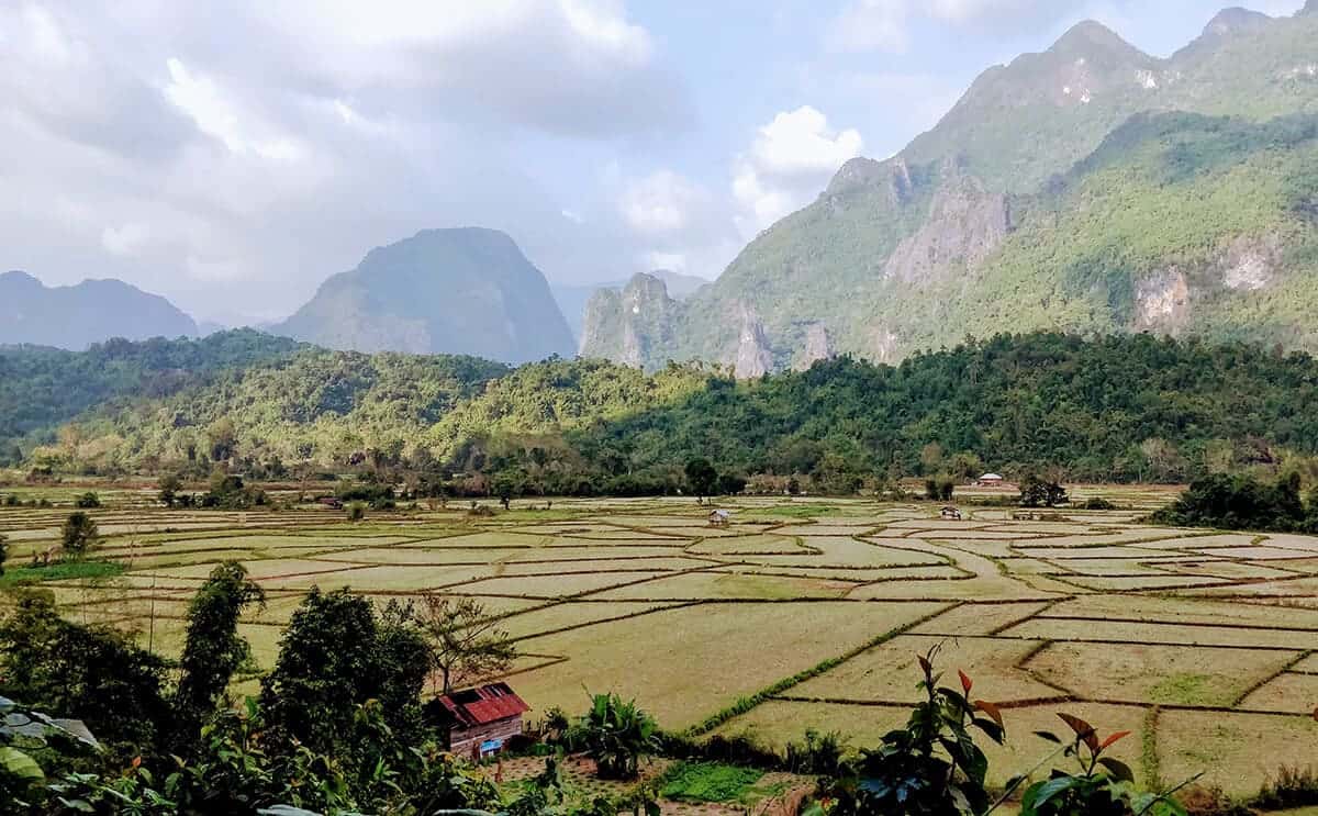 Vang Vieng To Vientiane: All Transport Options Explained 4 rice paddies out of the window from vang vieng to vientiane