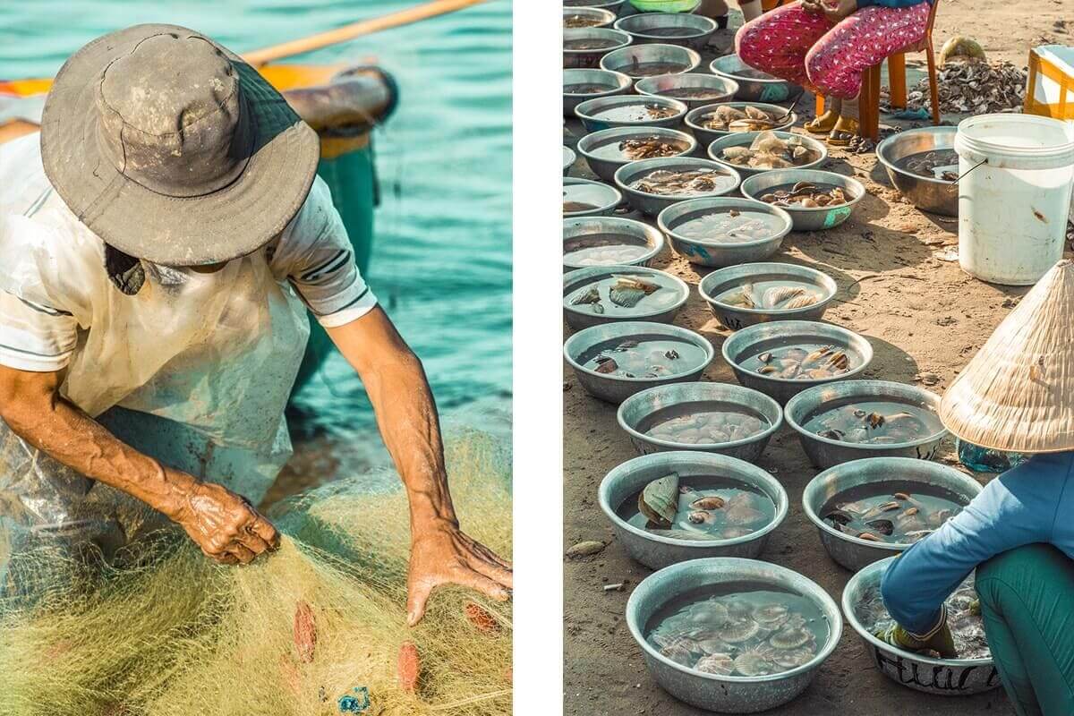 My Vietnam Trip Cost: How Cheap Is Vietnam and My $25 Daily Budget (2025) 29 sorting shellfish in fishing village mui ne