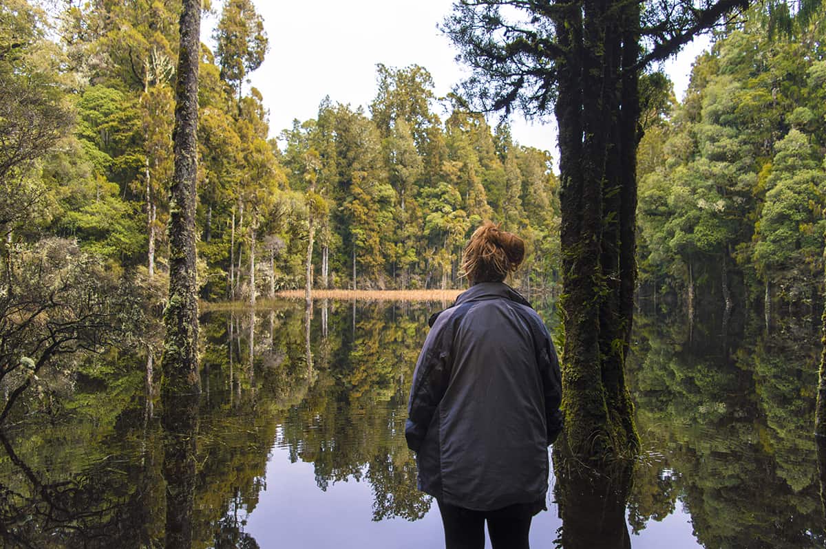 looking out over the incredibly still waters of waihora lagoon