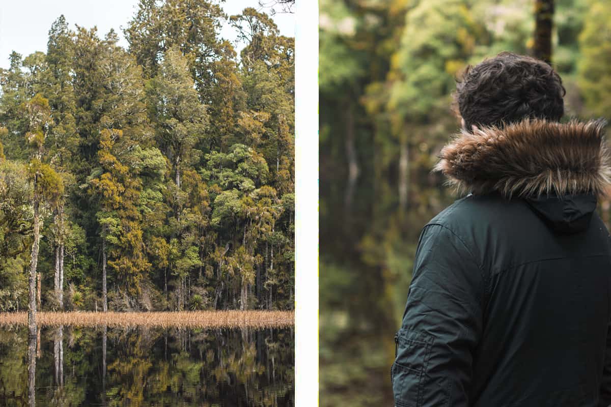 reflections on the lagoon of the surrounding trees // looking out to the still water