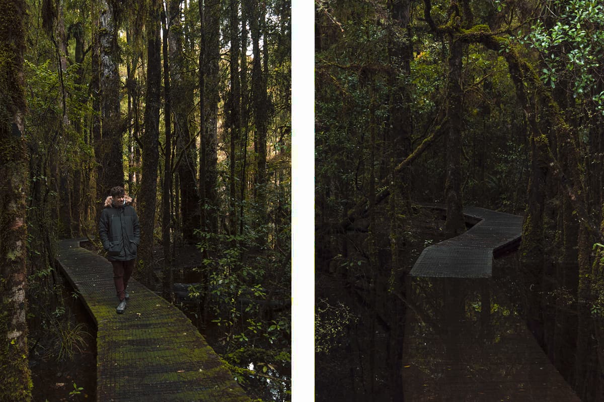 the raised pathway over the lagoon // depending on the time of near you way find the pathway on the waihora lagoon walk in under water due to high rainfall