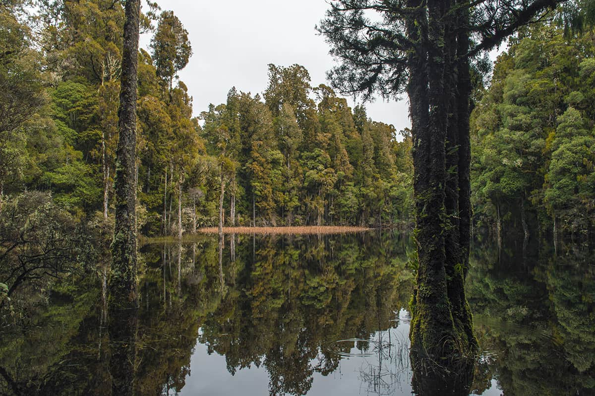 a wide shot of the entire waihora lagoon, its well worth the 10 minute walk