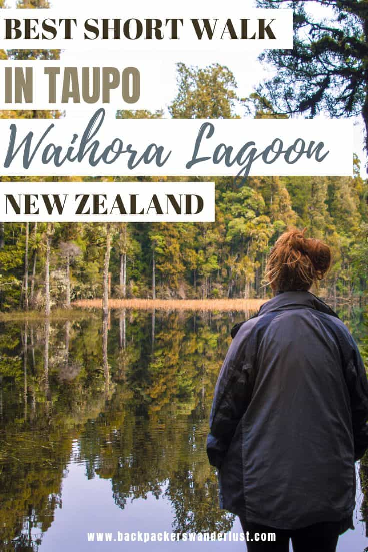 If you are in Taupo I highly recommend doing the Waihora Lagoon Walk during your visit. It may take a bit of effort to reach, but this is the perfect way to experience the incredible forest. In this guide, I will let you know why it's worth visiting, how to get there, what you can do there, and more!