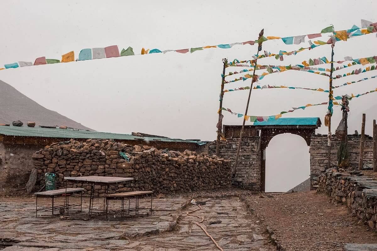 snowy storm yak kharka to thorong phedi base camp on the annapurna circuit