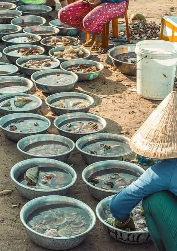 local ladies sorting through the fresh catches at the fishing village in mui ne