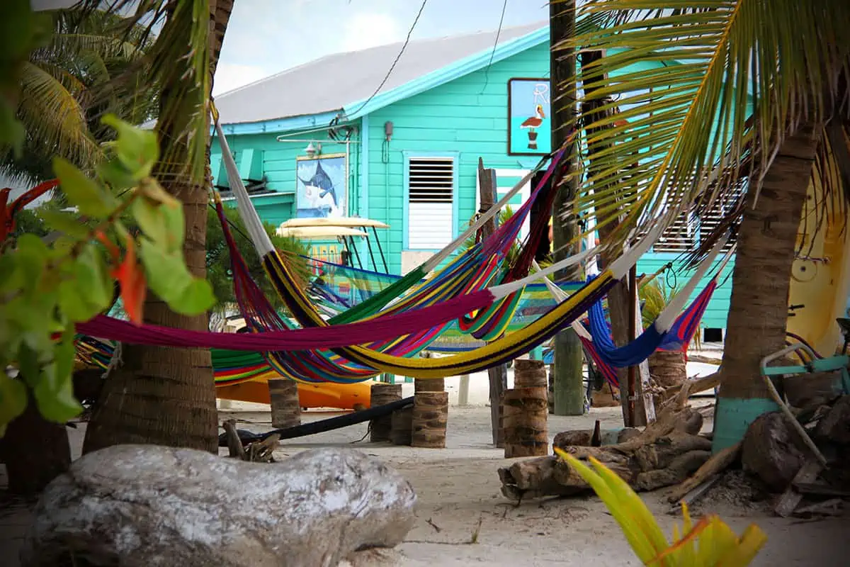 Contemplating Ambergris Caye vs Caye Caulker? Envision yourself swaying in these vibrant hammocks on the laid-back Caye Caulker.