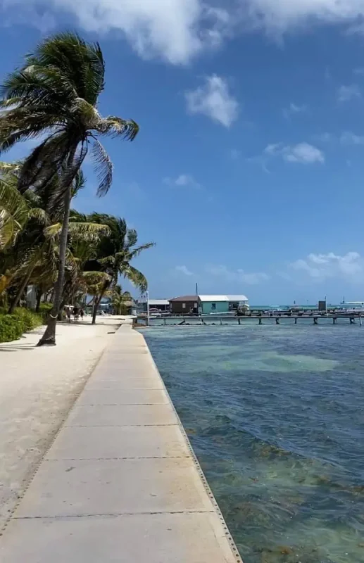 beautiful sights walking along the shoreline in ambergris caye