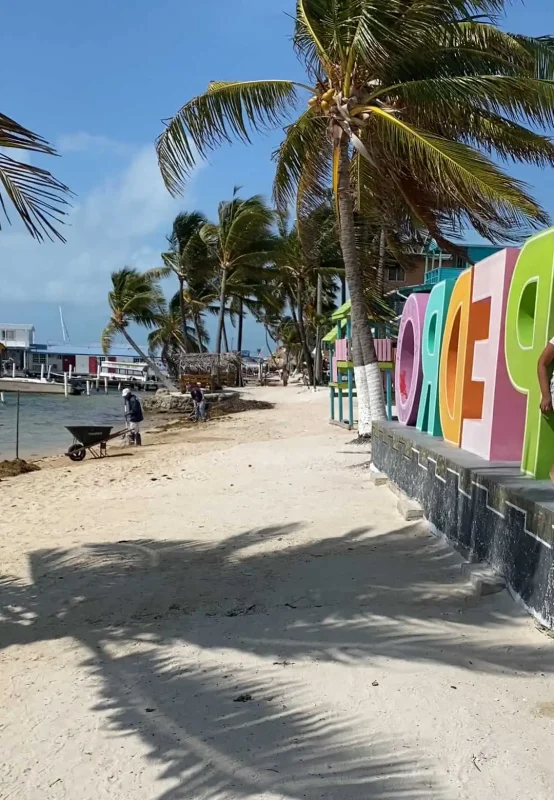 locals cleaning up the sargassum along the beachfront at the san pedro sign