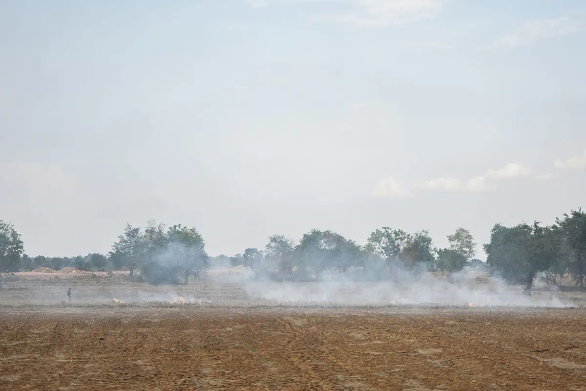 Smoke rising from fires in a field around Battambang.