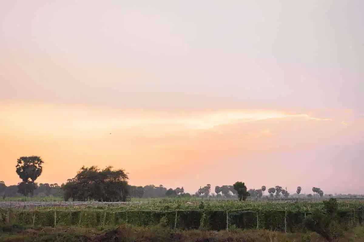 A view over the nearby Cambodian farmland at sunset while in Battambang.
