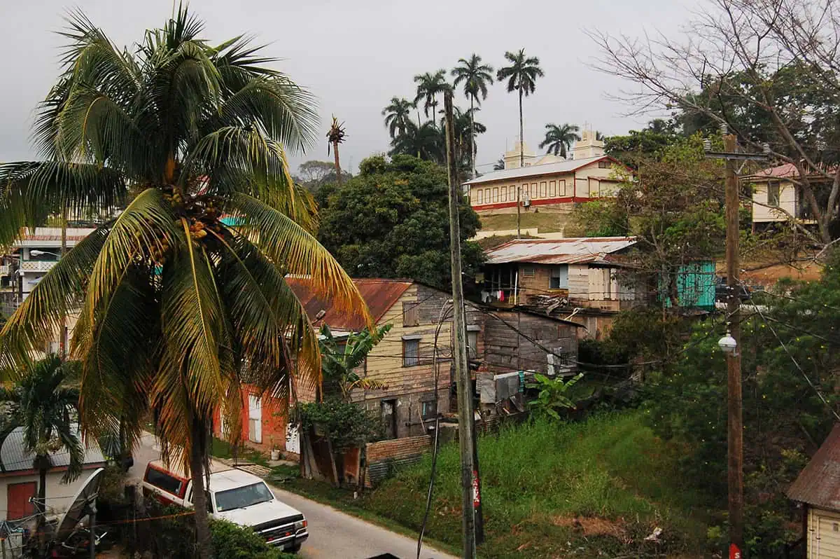 Rustic street view in San Ignacio with a palm tree in the foreground and a mix of traditional houses