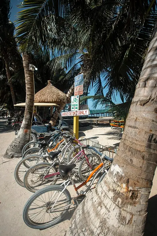 A bicycle parking area on Caye Caulker with a sign indicating 'Bike/Cycle Guests Only,' reflective of the island's laid-back transportation culture after arriving from Belize City.