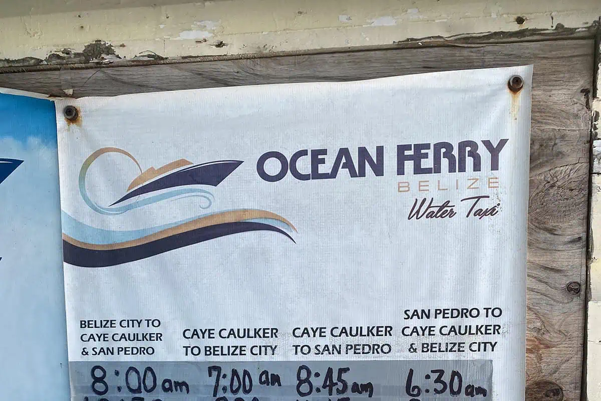 A close-up of an Ocean Ferry Belize Water Taxi schedule banner, with listed departure times from Belize City to Caye Caulker and San Pedro, providing essential travel information for tourists making the journey.