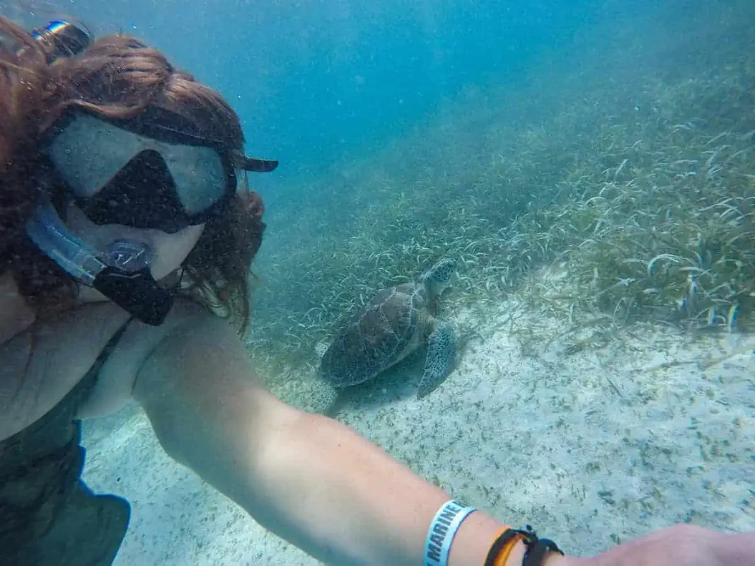 tasha amy swimming with a turtle in belize