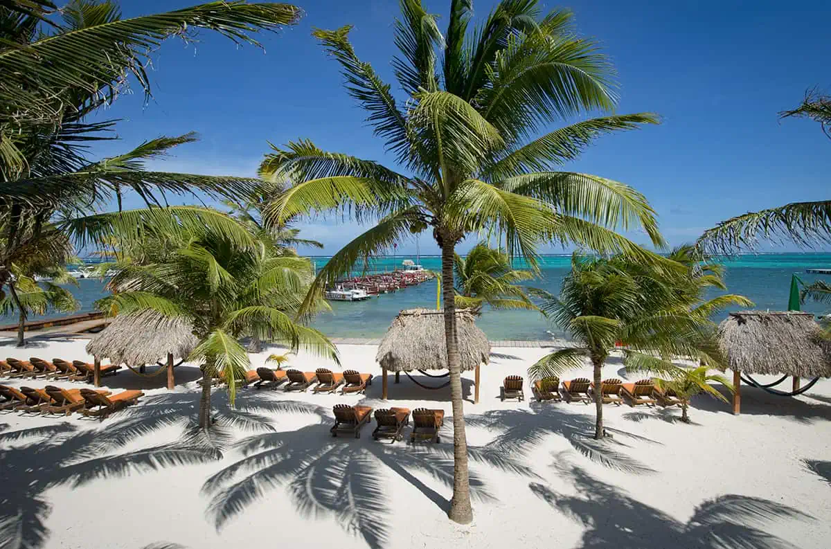 A beautiful beach scene with rows of sun loungers under the shade of palm trees facing the clear blue waters, exemplifying the serene beach life at Ambergris Caye.