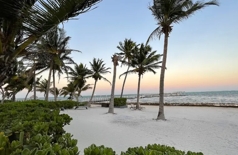 Tranquil beach scene at dusk with palm trees and a small yellow table, offering a peaceful and secluded setting on Ambergris Caye.