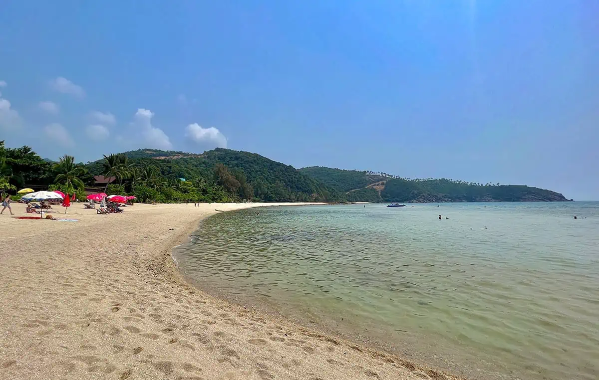 looking down mae haad beach with umbrellas set up along the shoreline