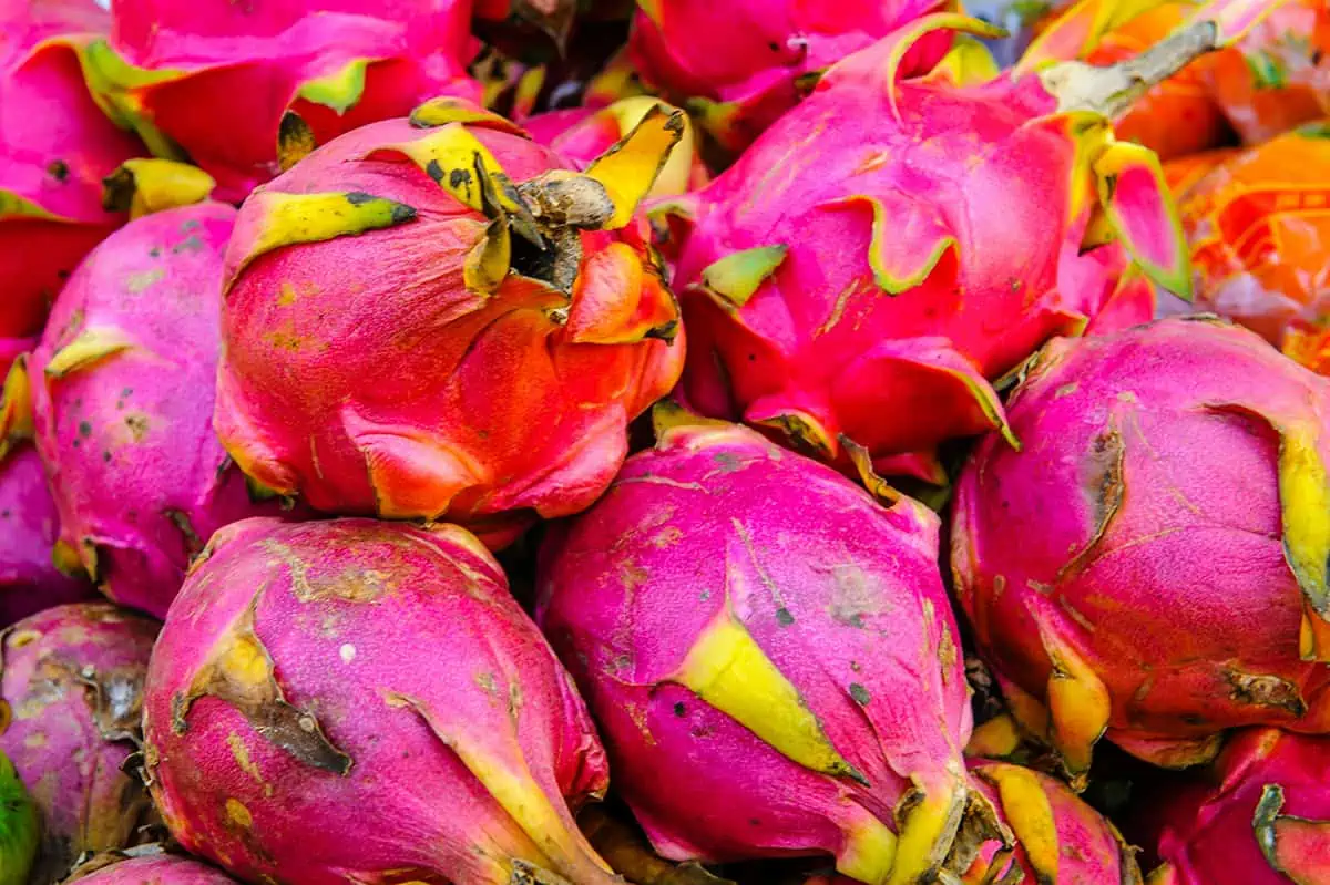 Close-up of bright pink dragon fruit, with vivid yellow accents, adding to the colorful spectrum of Belizean fruits.