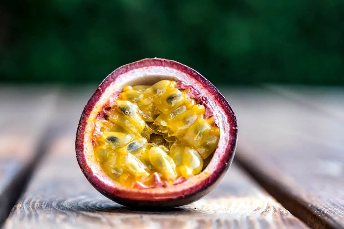 Open passion fruit with a broken skin showing the juicy yellow seeds, a tart and aromatic delight among the fruits in Belize.