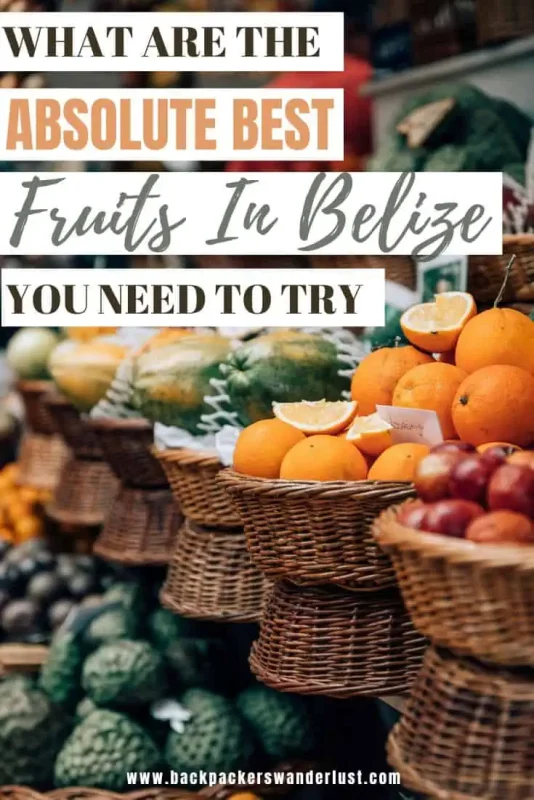 Belize is known as a tropical paradise, and what goes in hand with that, is delicious fruits! So come discover the absolute best fruits in Belize worth trying on your holiday. Who knows, you may even discover a new favorite!