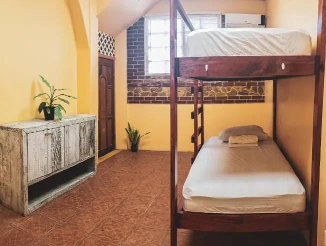 Charming dorm room with warm yellow walls and wooden bunk beds, featuring a rustic chest and potted plants, at Yellow Belly Backpackers, a highly-rated hostel in San Ignacio.