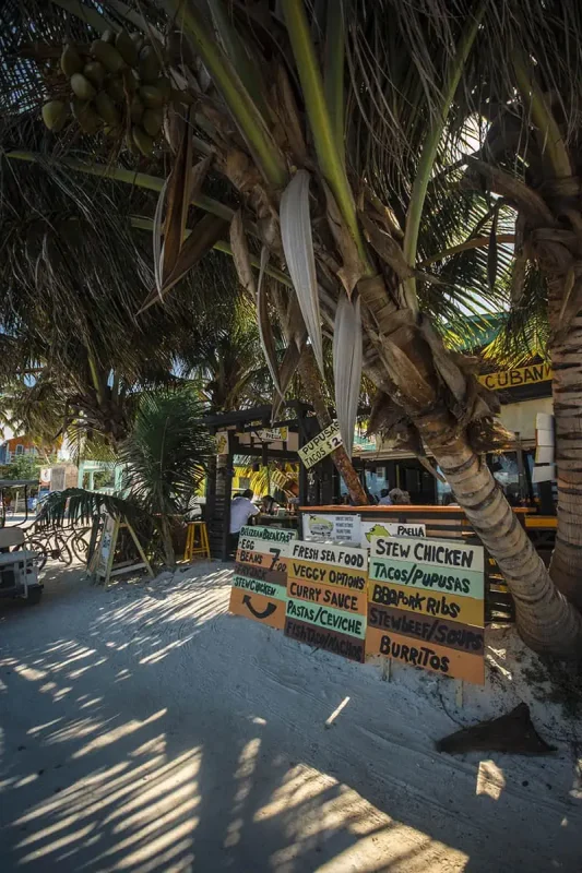 A rustic street food stall under a palm tree on Caye Caulker, Belize, featuring a variety of meal options listed on colorful signs such as paella, stew chicken, and burritos. This scene captures the laid-back, tropical atmosphere that makes this one of the best restaurants on Caye Caulker for casual dining.