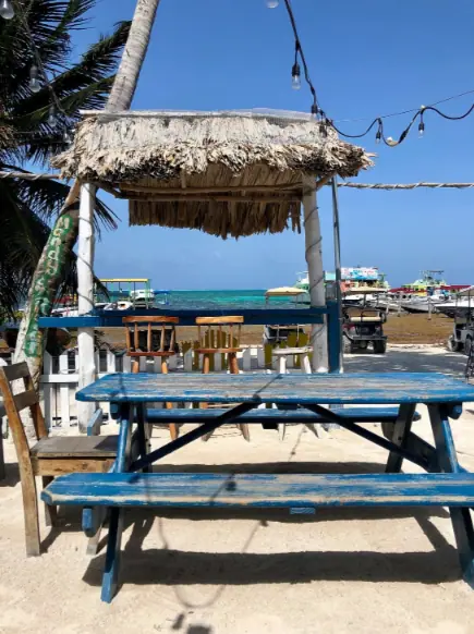 A rustic wooden picnic table under a thatched roof gazebo on the sandy beach of Caye Caulker, at Barrier Reef Sports Bar & Grill. The table overlooks the Caribbean Sea, framed by palm trees and a clear blue sky, offering a prime seaside dining experience that marks it as a favorite among the best restaurants on Caye Caulker.