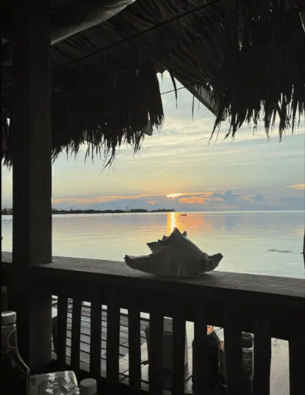 A serene sunset view from Pelican Sunset Bar, showcasing the calm waters of Caye Caulker as the sun dips below the horizon. The image is framed by the thatched roof of the bar, creating a cozy, inviting atmosphere for enjoying the evening’s natural beauty. This setting highlights why Pelican Sunset Bar is celebrated as one of the best places to experience a sunset on Caye Caulker