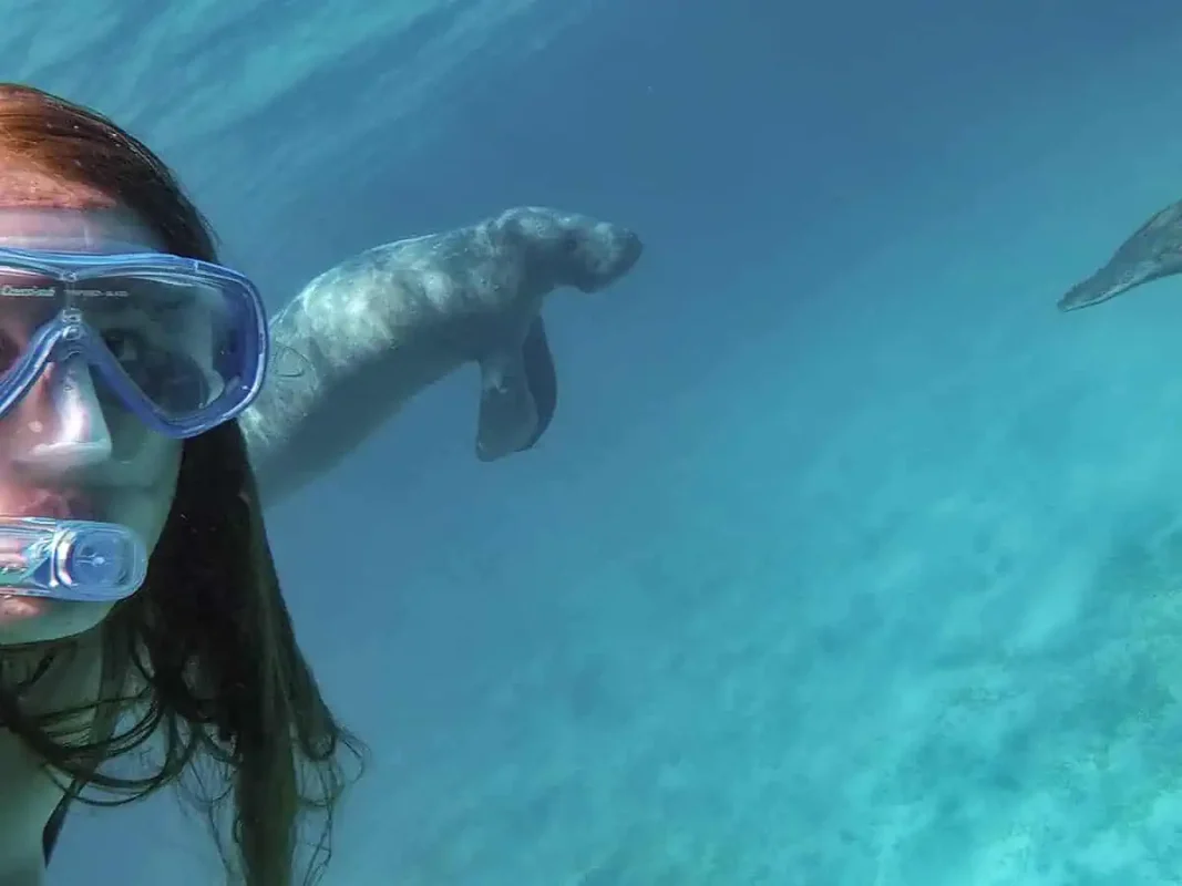 tasha amy takes a selfie underwater with a manatee swimming just behind her. She wears a snorkel mask and smiles at the camera while the manatee, a gentle giant of the sea, glides through the clear blue water. This close encounter with a manatee offers a unique and unforgettable experience, highlighting one of the best things to do in Caye Caulker.
