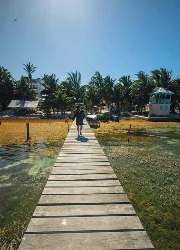 A person walks down a wooden pier towards a beach lined with palm trees in Caye Caulker. The water is clear with patches of seaweed, and a small wooden building with blue accents is visible on the right side. One of the best things to do in Caye Caulker is to explore these picturesque piers.