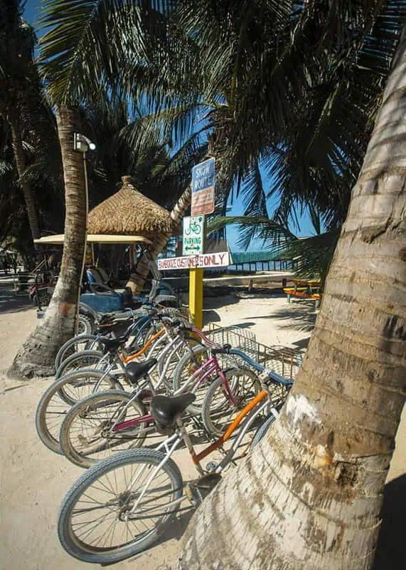 Several bicycles are parked on a sandy path under the shade of palm trees in Caye Caulker. A sign indicates "Booze and Guest Only" parking, with a thatched-roof hut and a glimpse of the beach in the background. Renting a bike is one of the best things to do in Caye Caulker for easy island exploration.