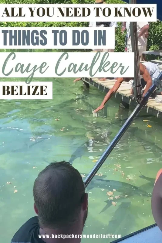 Discover the best things to do in Caye Caulker with this ultimate guide for all travelers. Find out how to blend island adventures such as swimming with manatees with the vibrant local culture, ensuring a memorable experience.